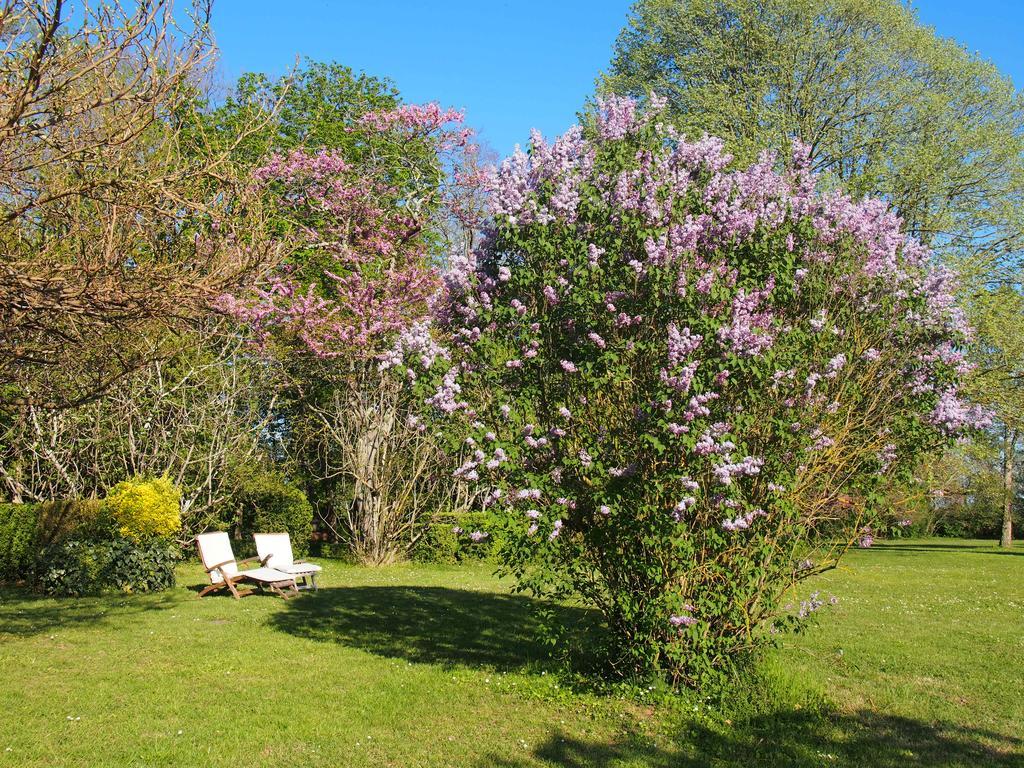 Gite De Charme Au Bord Du Tarn Marssac-sur-Tarn Exteriér fotografie